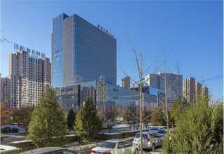 广西生物油燃料煲仔炉价格