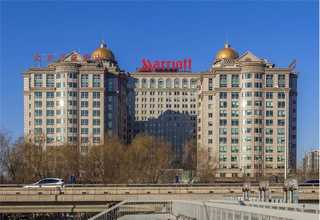 云南兔饲料颗粒机