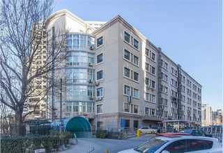 山东全无油空压机