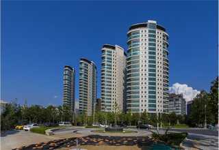 广东pet塑料刷丝公司哪家好