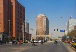 浙江出口木托盘厂家